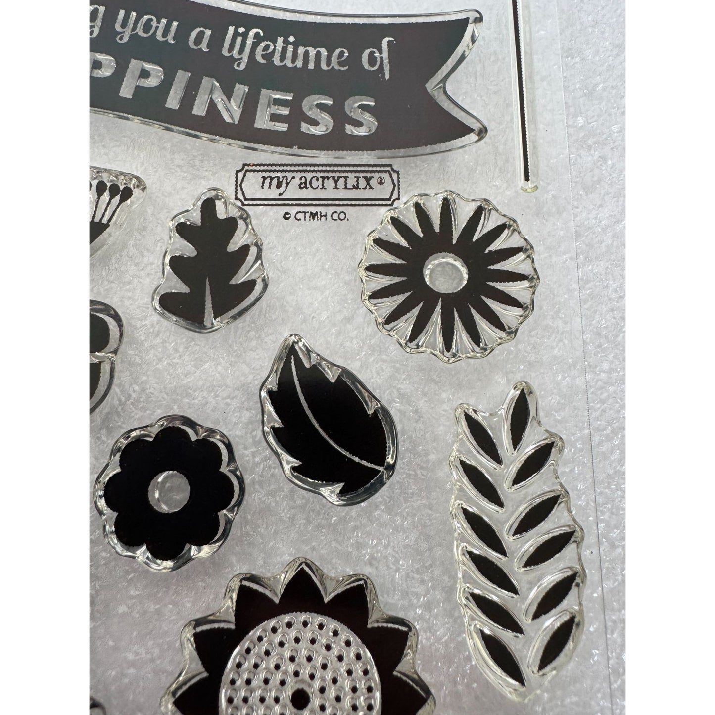 CTMH My Acrylix Acrylic Stamp Set Lifetime of Happiness Live in the Moment C1589