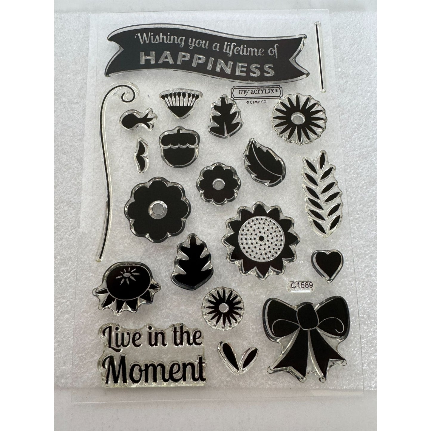 CTMH My Acrylix Acrylic Stamp Set Lifetime of Happiness Live in the Moment C1589