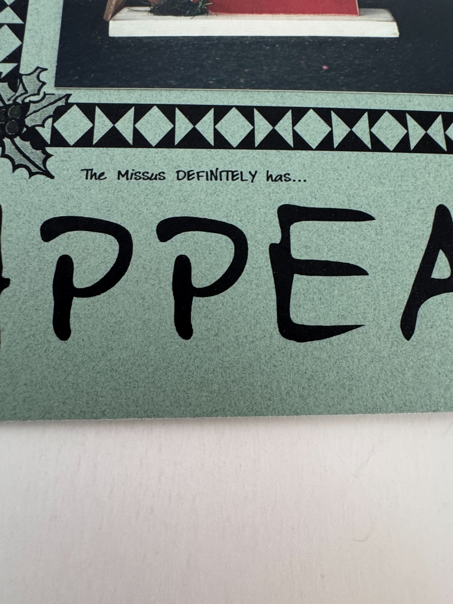 X-Appeal Cross Stitch Pattern Chart Christmas Missus Claus Mrs Santa Stockings