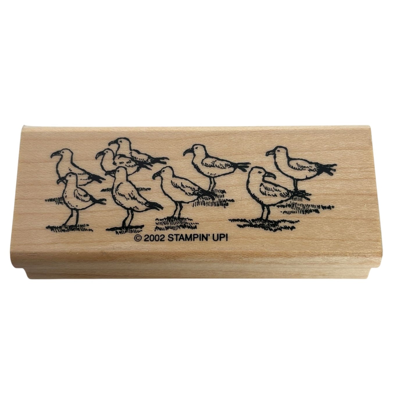 Stampin Up Rubber Stamp Seagulls Beach Vacation Ocean Seaside Birds Card Making