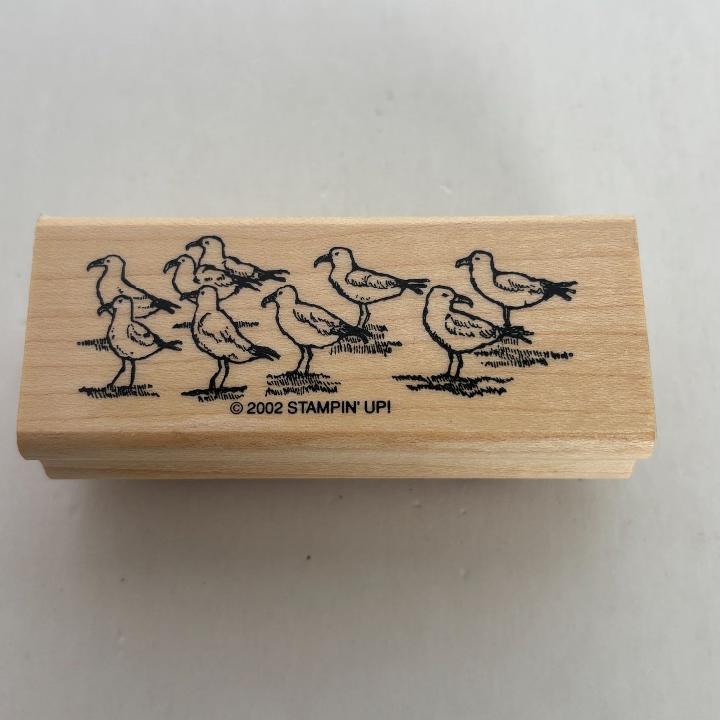 Stampin Up Rubber Stamp Seagulls Beach Vacation Ocean Seaside Birds Card Making