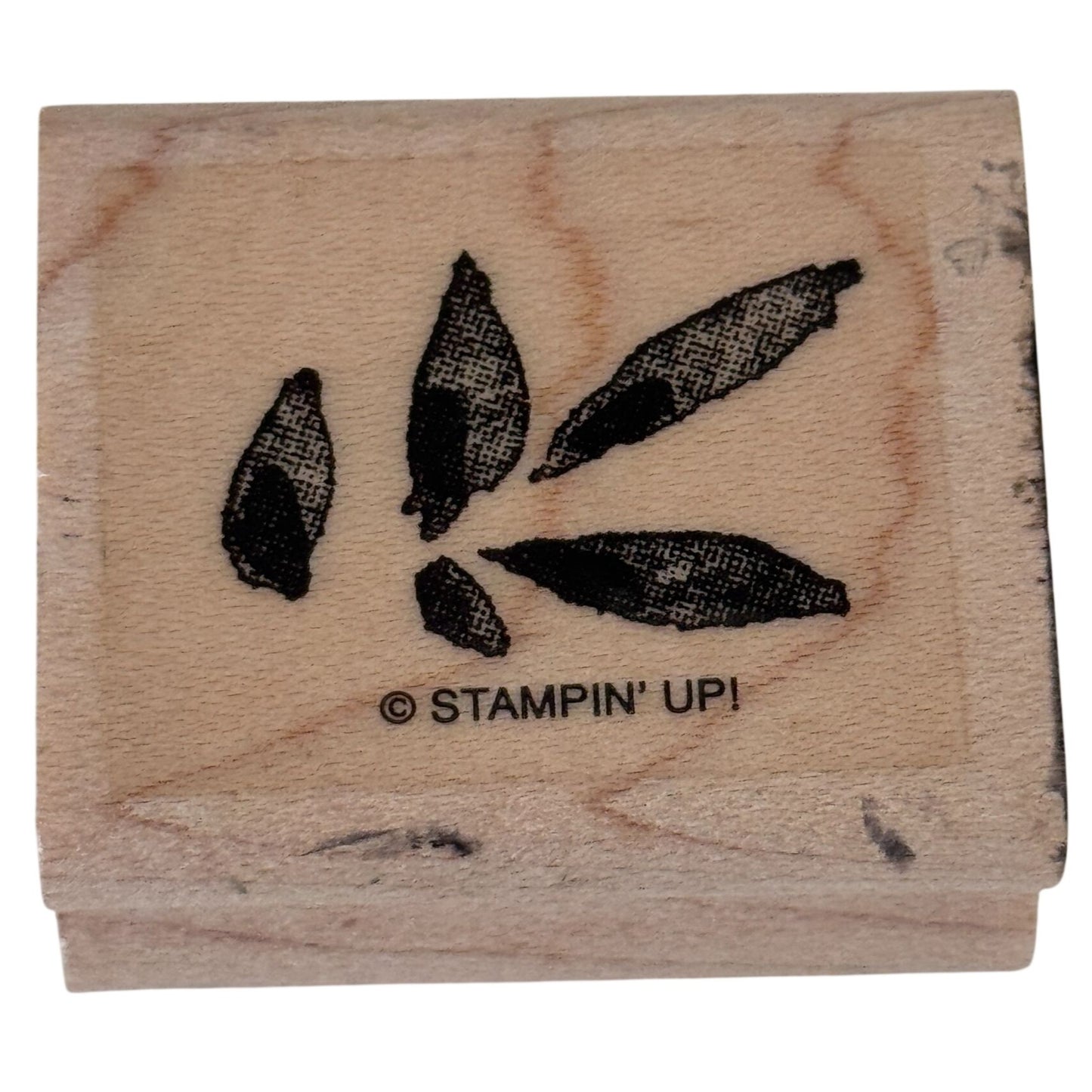 Stampin Up Rubber Stamp Small Leaf Cluster Botanical Nature Cardmaking Wood