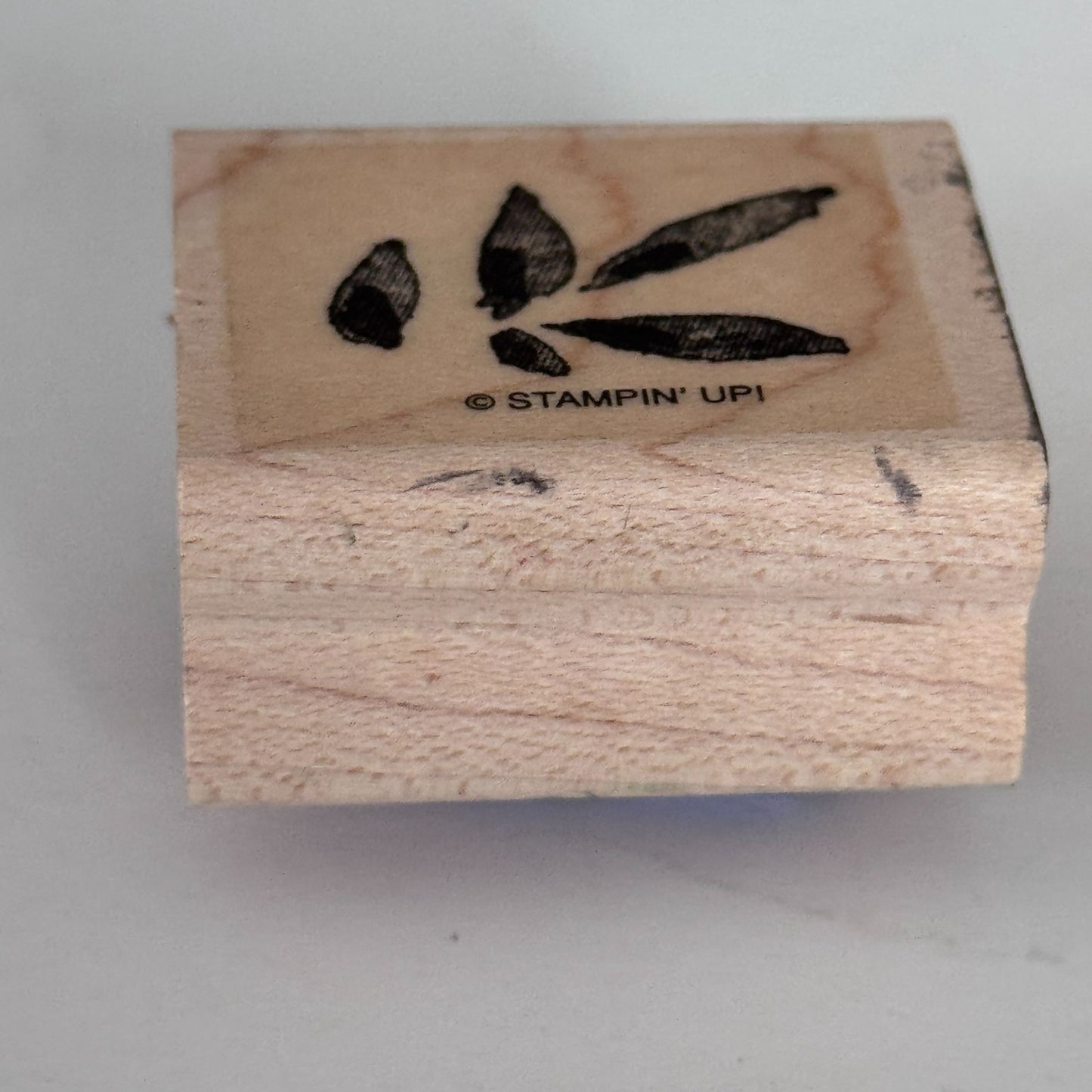 Stampin Up Rubber Stamp Small Leaf Cluster Botanical Nature Cardmaking Wood