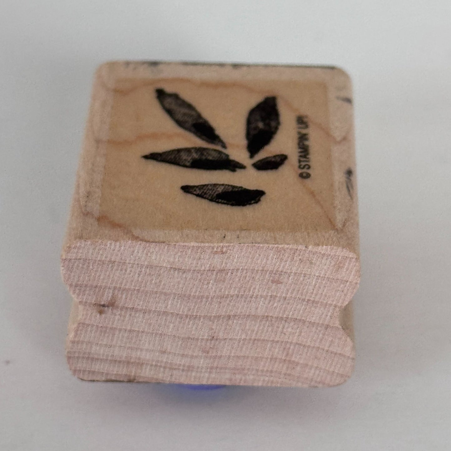 Stampin Up Rubber Stamp Small Leaf Cluster Botanical Nature Cardmaking Wood