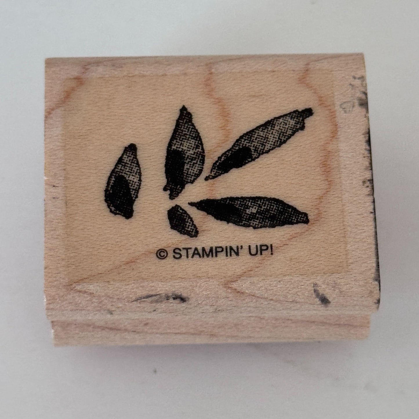 Stampin Up Rubber Stamp Small Leaf Cluster Botanical Nature Cardmaking Wood
