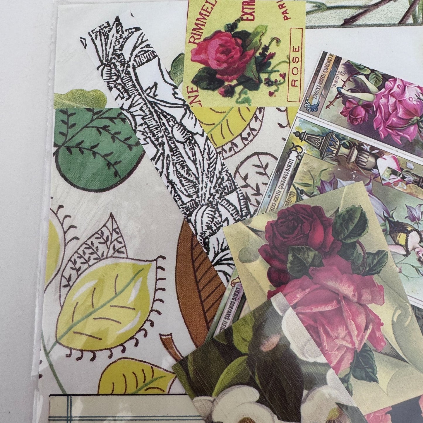 Provo Craft Altered Elements Paper Ephemera Botanical Collection Die Cuts Floral Junk Journaling Scrapbooking