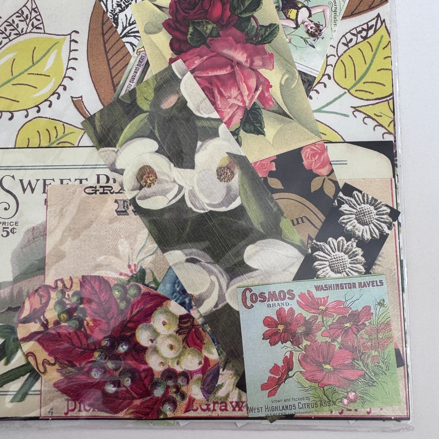 Provo Craft Altered Elements Paper Ephemera Botanical Collection Die Cuts Floral Junk Journaling Scrapbooking