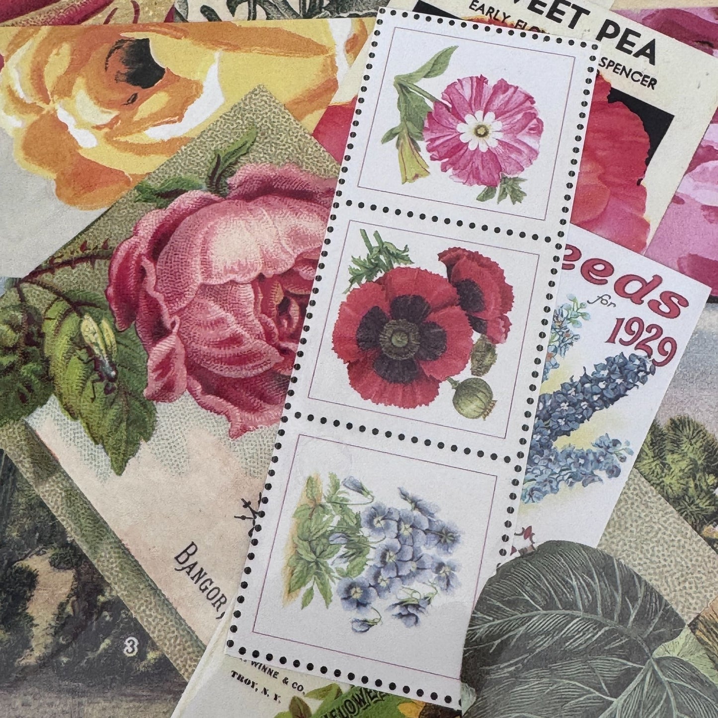 Provo Craft Altered Elements Paper Ephemera Botanical Collection Die Cuts Floral Junk Journaling Scrapbooking