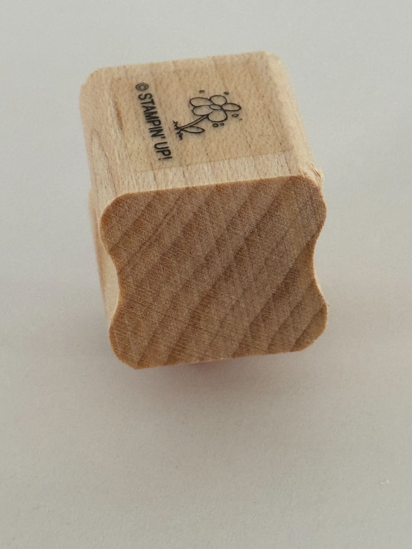 Stampin Up Rubber Stamp Small Flower Tiny Garden Landscape Scene Maker Spring Craft