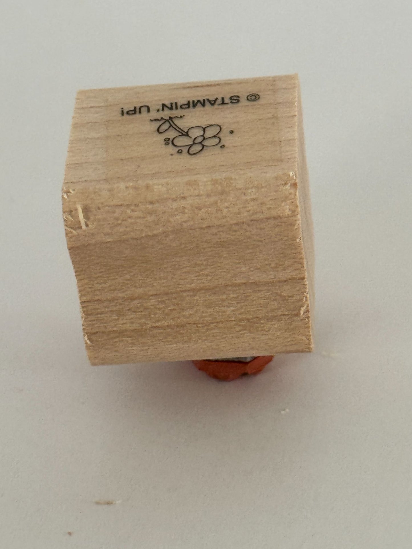 Stampin Up Rubber Stamp Small Flower Tiny Garden Landscape Scene Maker Spring Craft