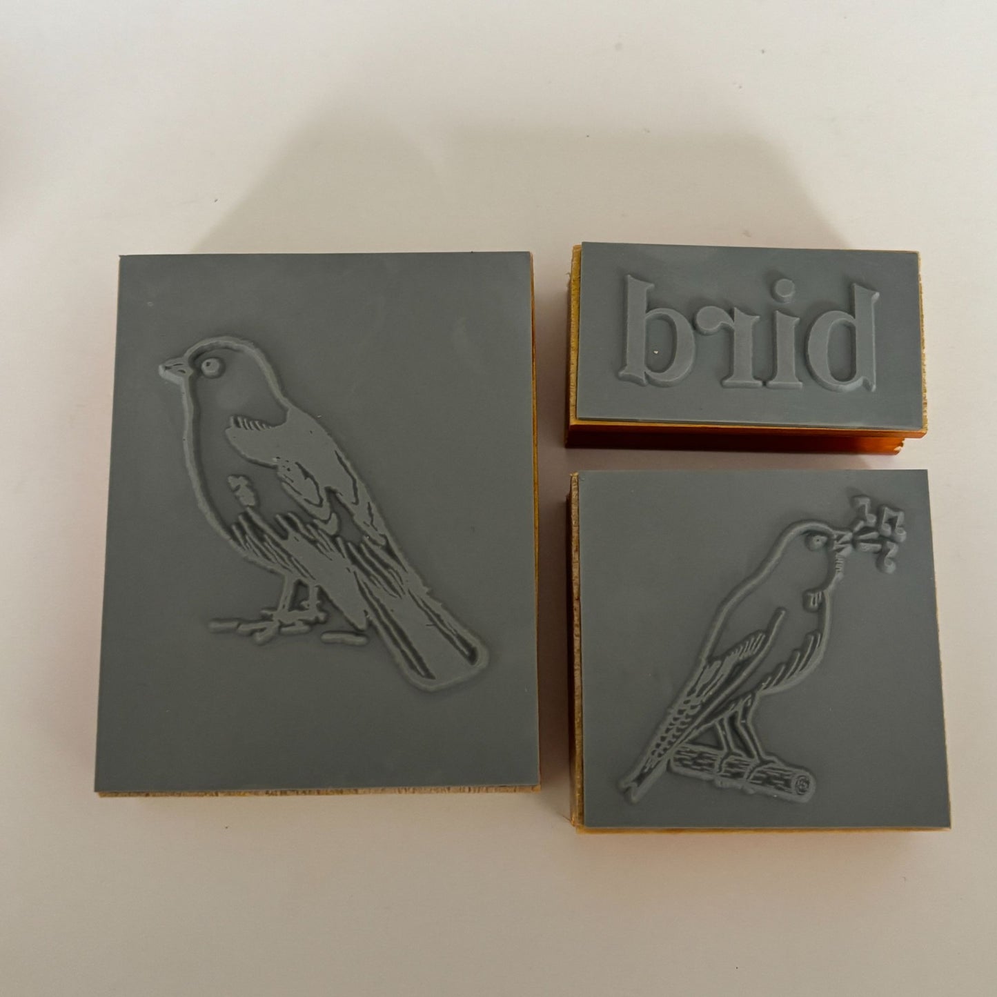 Cavallini Rubber Stamp Set Bird Illustrations Vintage Style Nature Cardmaking Scrapbooking Journaling Wood Mounted