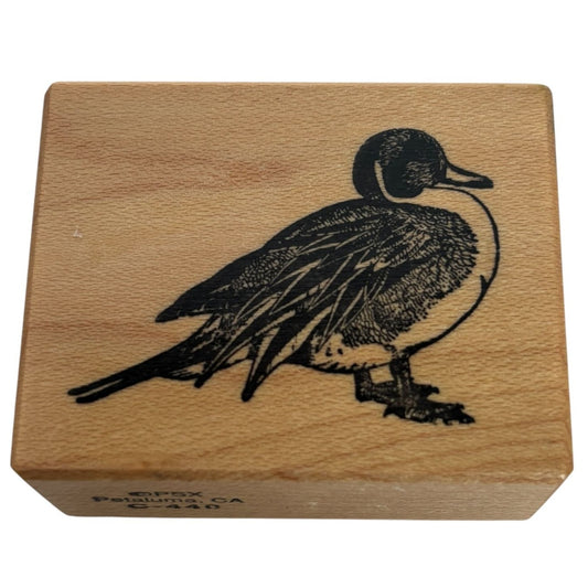 PSX Rubber Stamp Mallard Duck Waterfowl Bird Nature Outdoors Animal Vintage C440