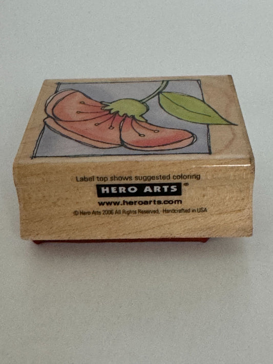 Hero Arts Rubber Stamp Profile Blossom III Floral Flower in Square Garden Craft