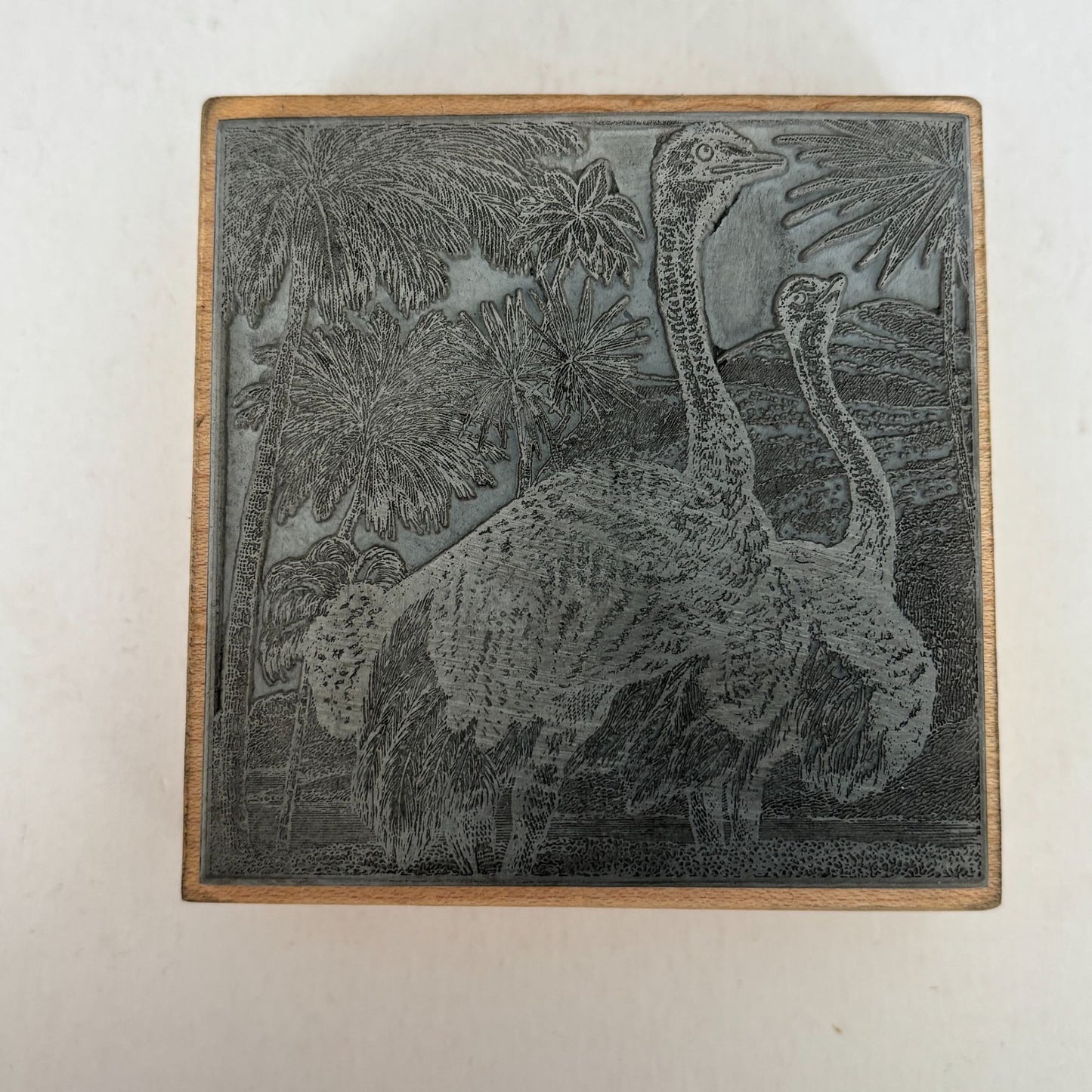 Magenta Rubber Stamp Ostrich Safari Scene Wildlife Palm Trees Animal Emu Wooden