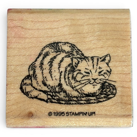 Stampin Up Rubber Stamp Cat Napping Rug Cardmaking Scrapbooking Pet Craft Sleepy