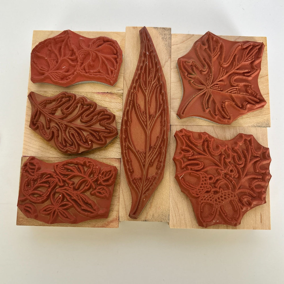 Hero Arts Rubber Stamp Set Vibrant Leaves Fall Foliage Acorns Oak Card Making Thanksgiving Maple
