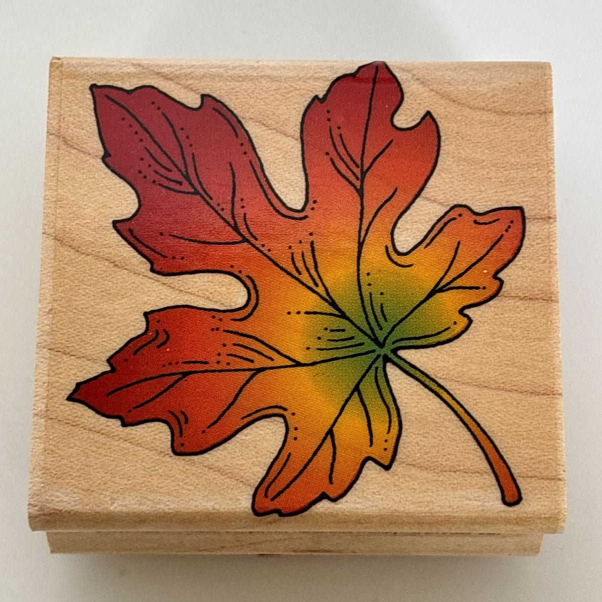Hero Arts Rubber Stamp Set Vibrant Leaves Fall Foliage Acorns Oak Card Making Thanksgiving Maple