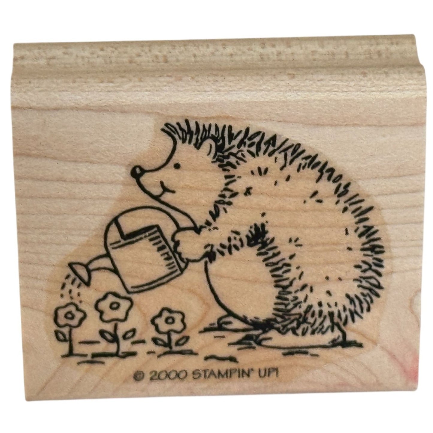 Stampin Up Rubber Stamp Hedgehog Watering Flowers Animal Gardener Grow Plants