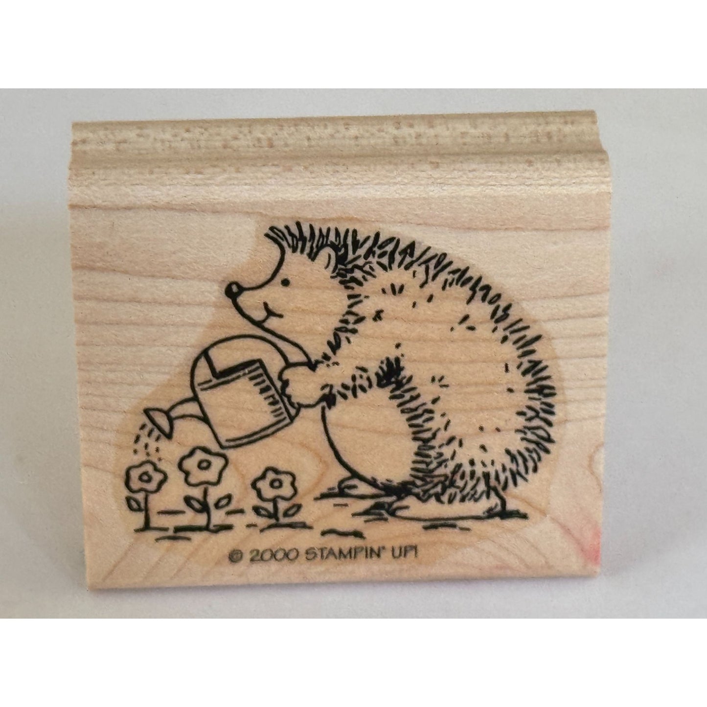Stampin Up Rubber Stamp Hedgehog Watering Flowers Animal Gardener Grow Plants