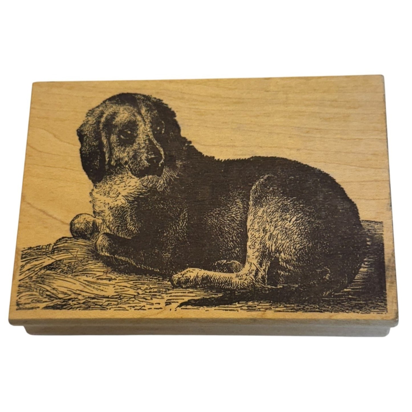 Magenta Rubber Stamp Dog Illustration Pet Companion Animal Nature Card Making