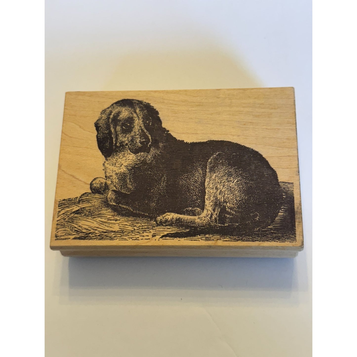 Magenta Rubber Stamp Dog Illustration Pet Companion Animal Nature Card Making
