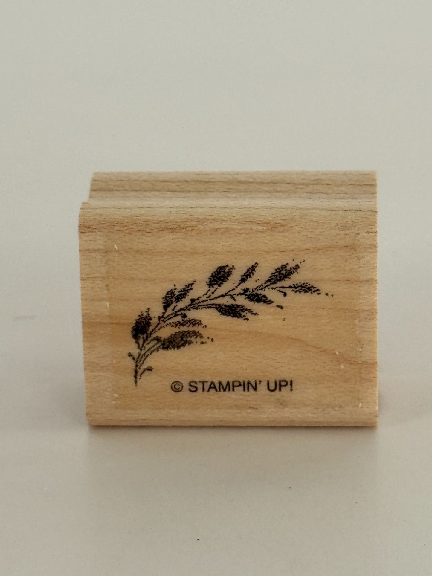 Stampin Up Rubber Stamp Set Merry Christmas Lodge Card Making Words Birds Tree