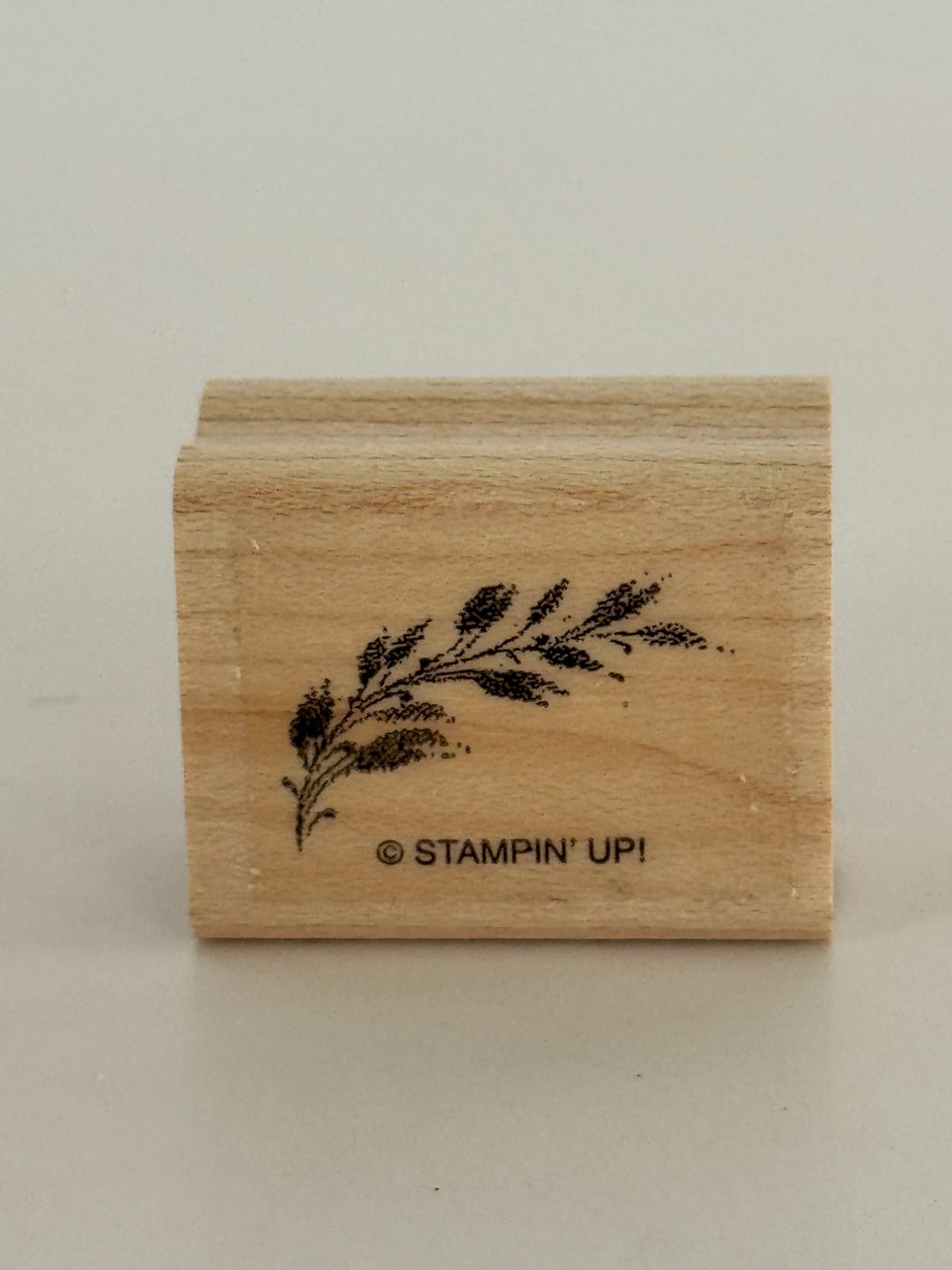Stampin Up Rubber Stamp Set Merry Christmas Lodge Card Making Words Birds Tree