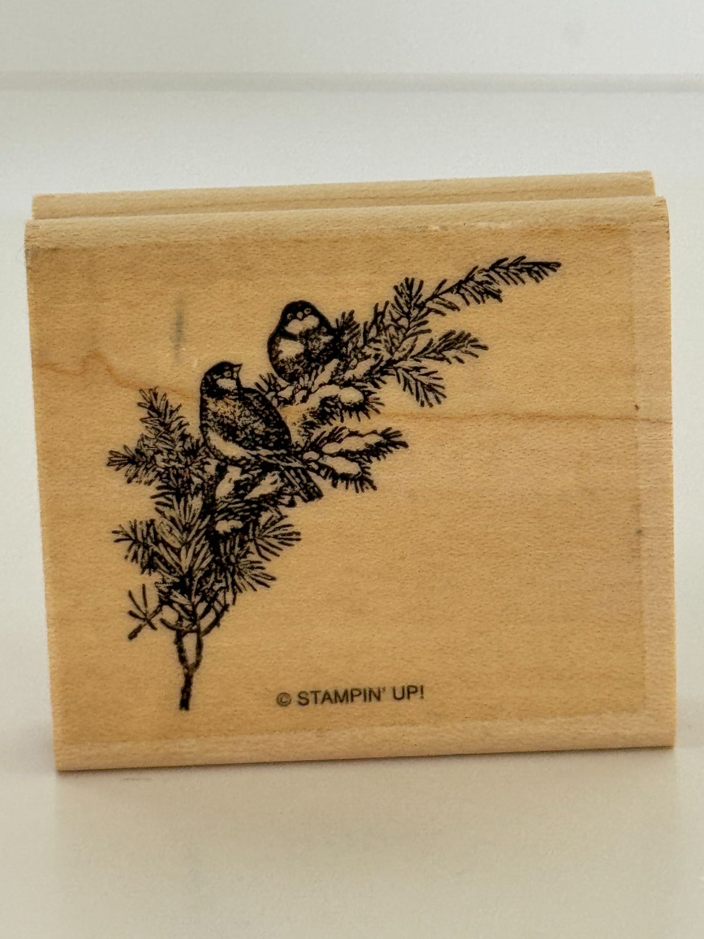 Stampin Up Rubber Stamp Set Merry Christmas Lodge Card Making Words Birds Tree