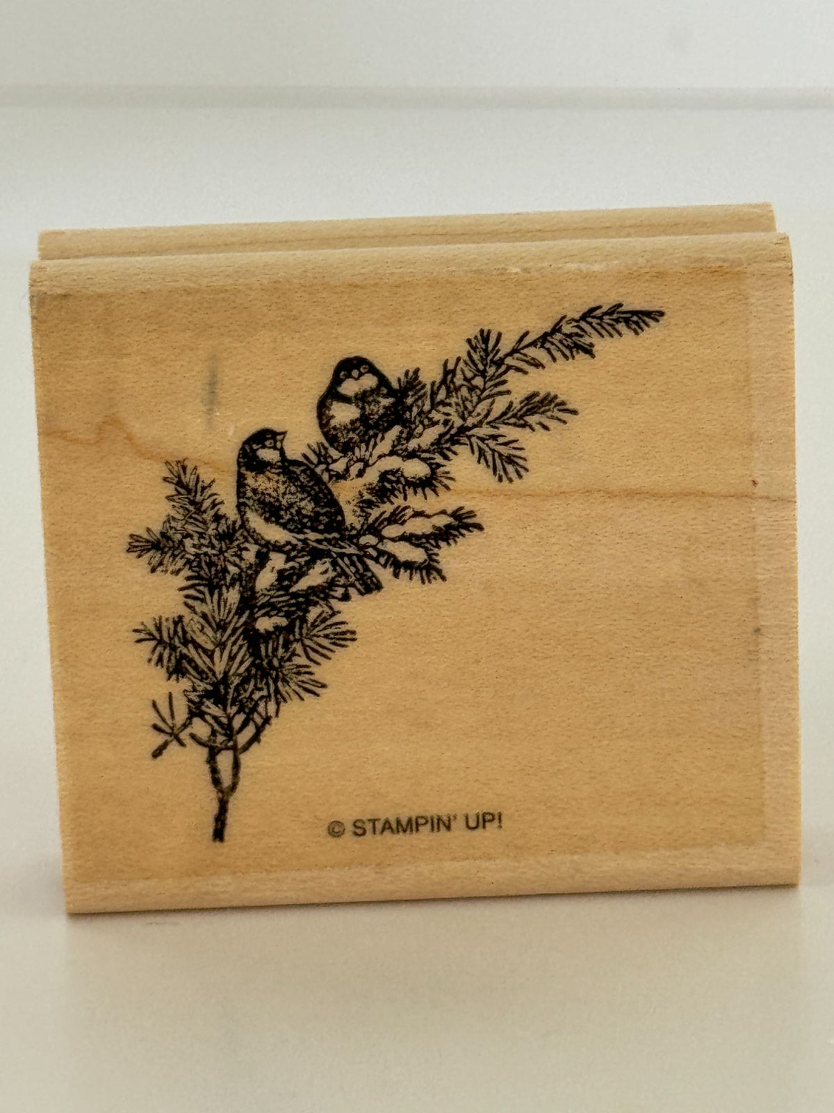 Stampin Up Rubber Stamp Set Merry Christmas Lodge Card Making Words Birds Tree
