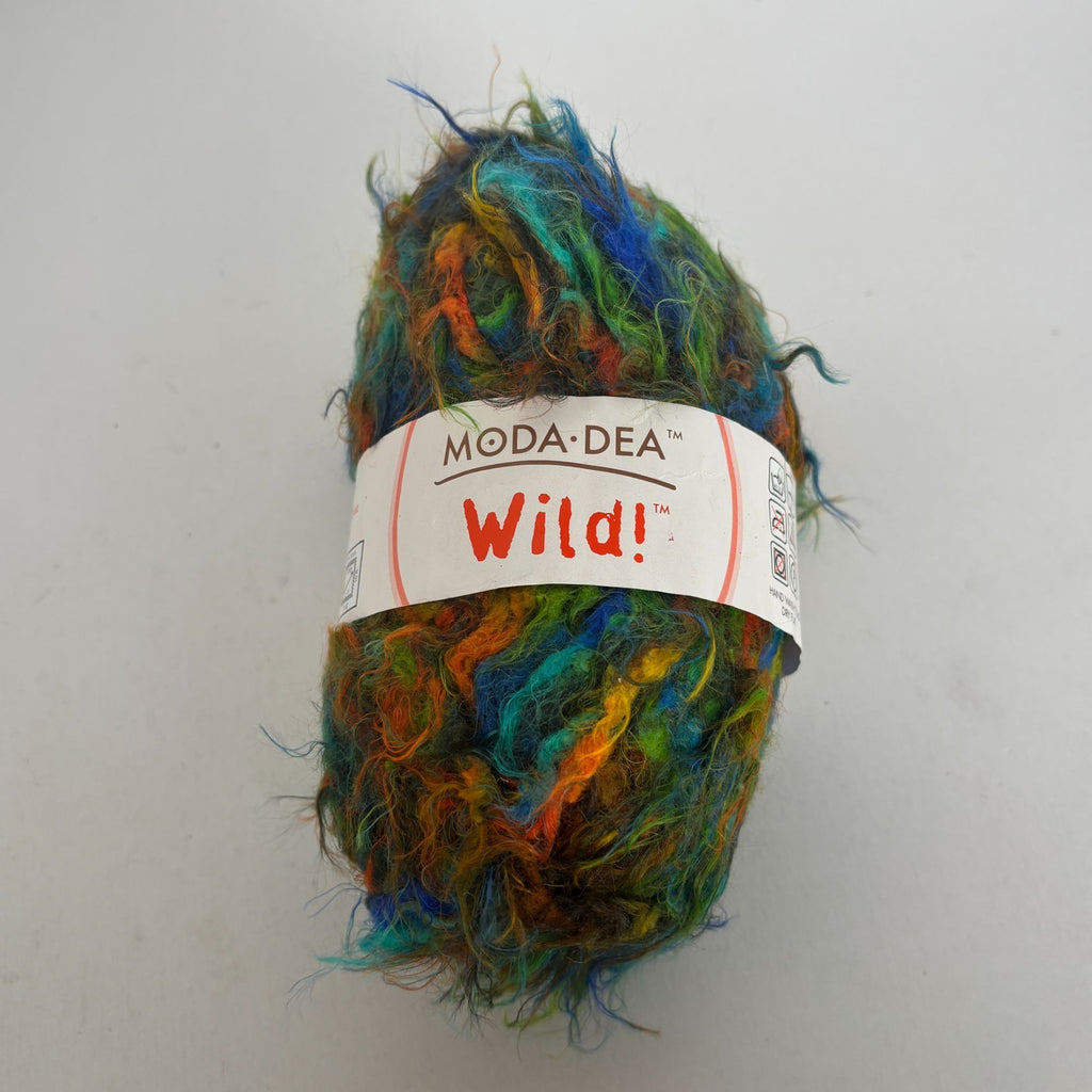Moda Dea Wild Yarn Skein Funky Color Nylon 50g Bulky Weight Multi-Colored Italy Knitting Crochet