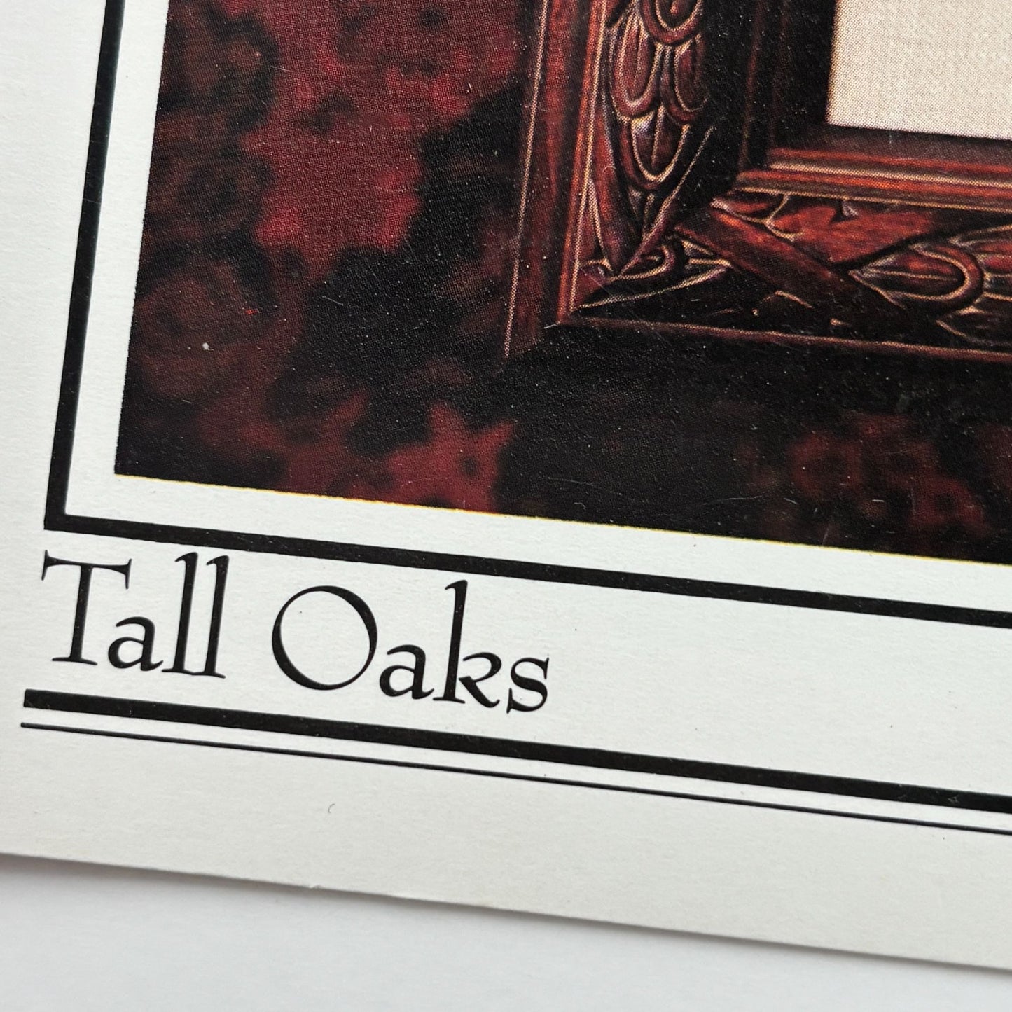 Cross-Eyed Cricket Collection Cross Stitch Pattern Booklet Tall Oaks Tree Woodland Animals Grow 97