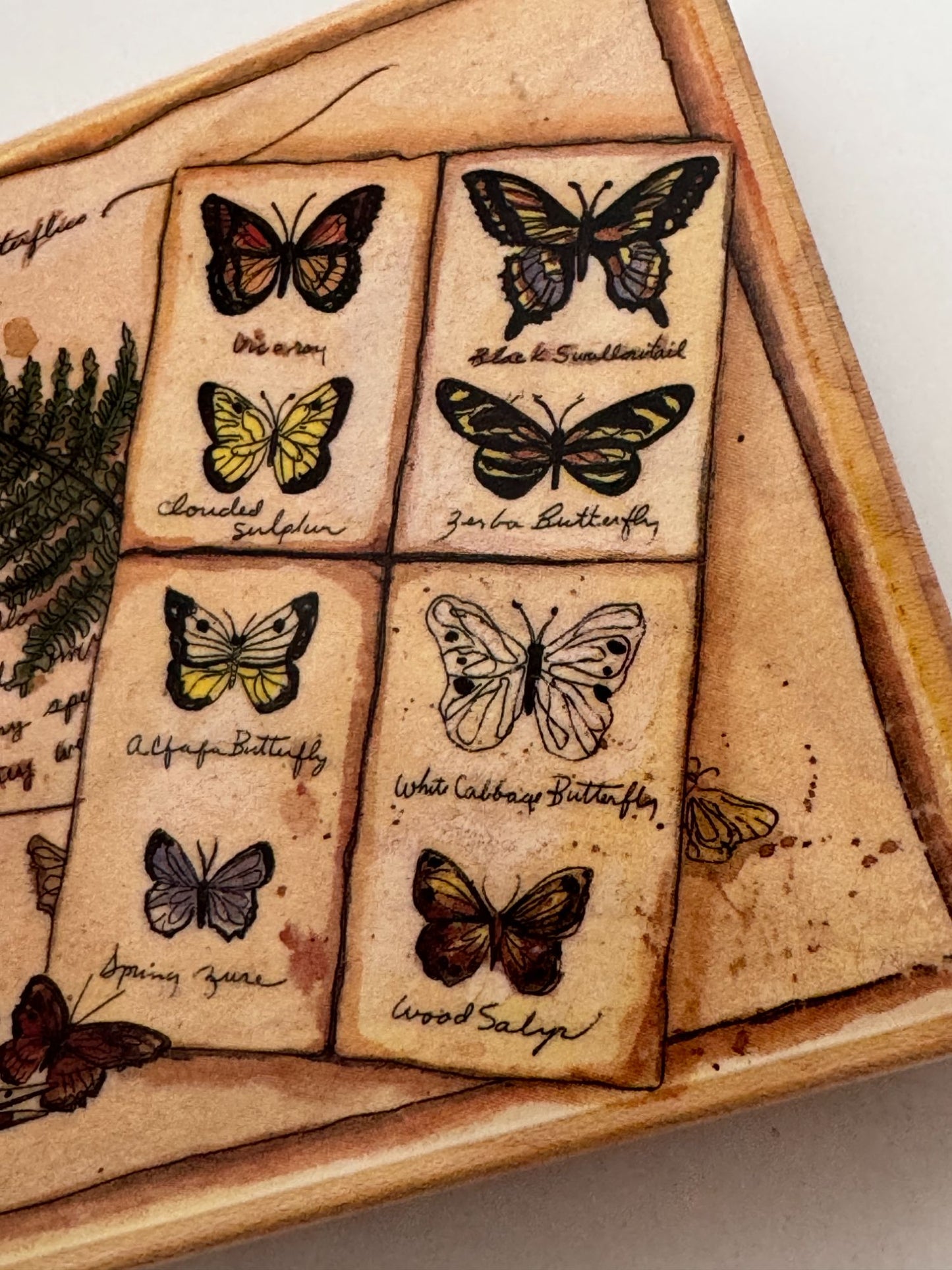 Stamps Happen Rubber Stamp Page about Butterflies Butterfly Large Peggy Abrams