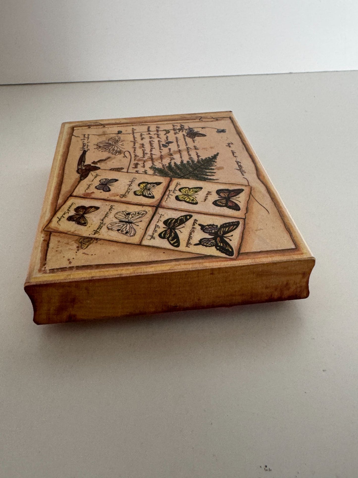 Stamps Happen Rubber Stamp Page about Butterflies Butterfly Large Peggy Abrams