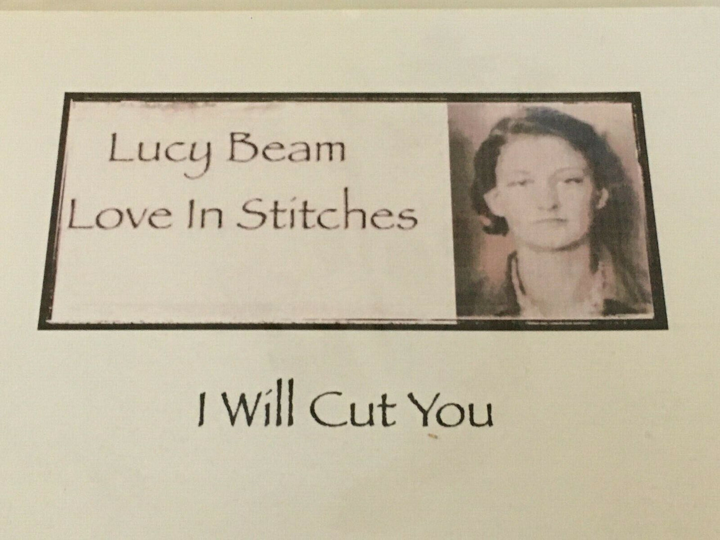 Lucy Beam Love In Stitches I Will Cut You Cross Stitch Pattern Funny Snarky Sewing Humor