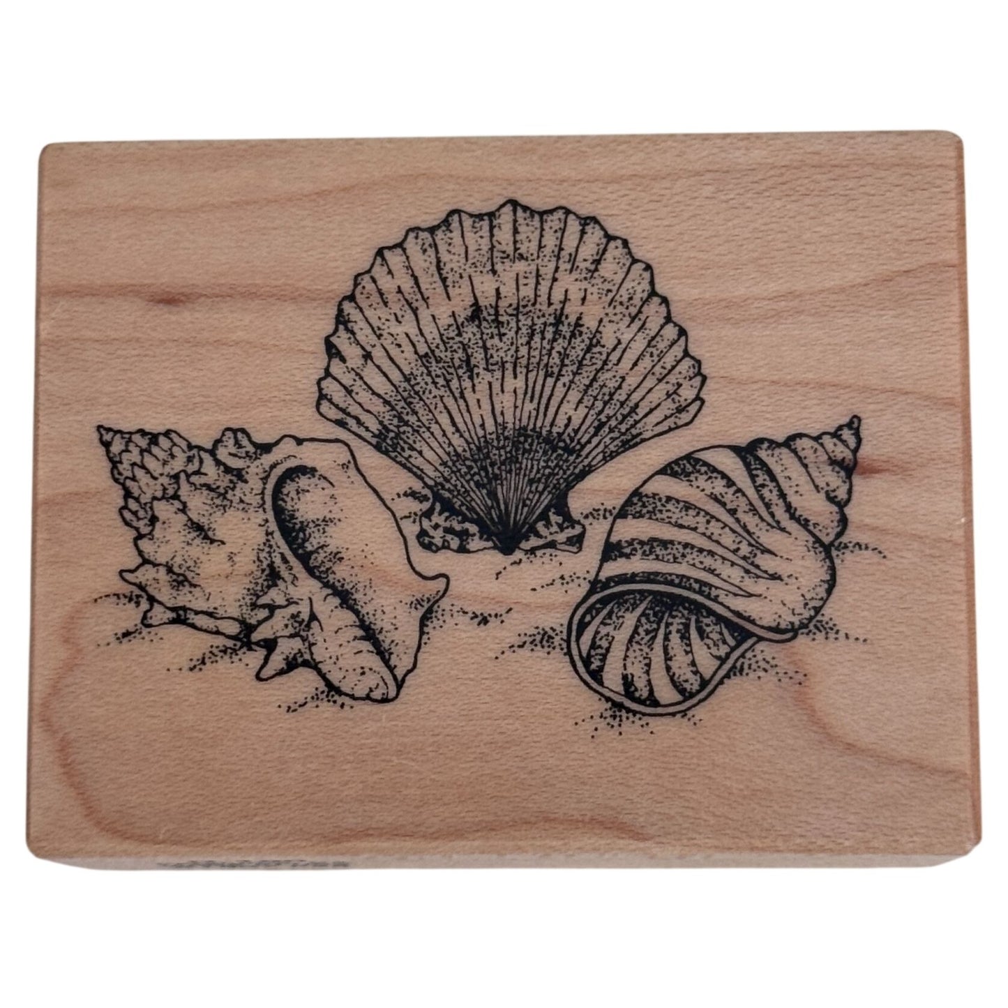 PSX Rubber Stamp Seashells Beach Vacation Summer Conch Shell Trio Seashore D-190 Coastal Nautical