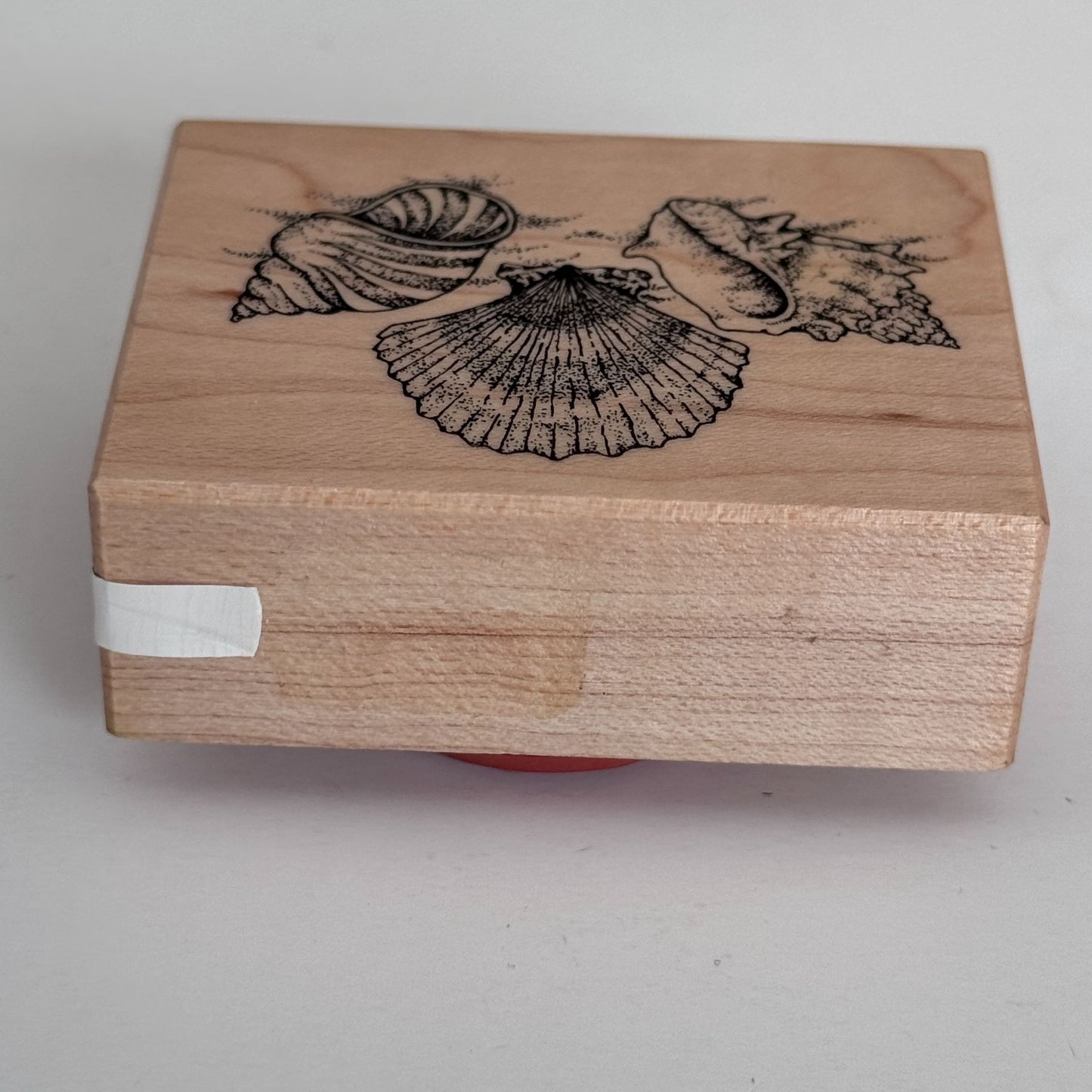 PSX Rubber Stamp Seashells Beach Vacation Summer Conch Shell Trio Seashore D-190 Coastal Nautical