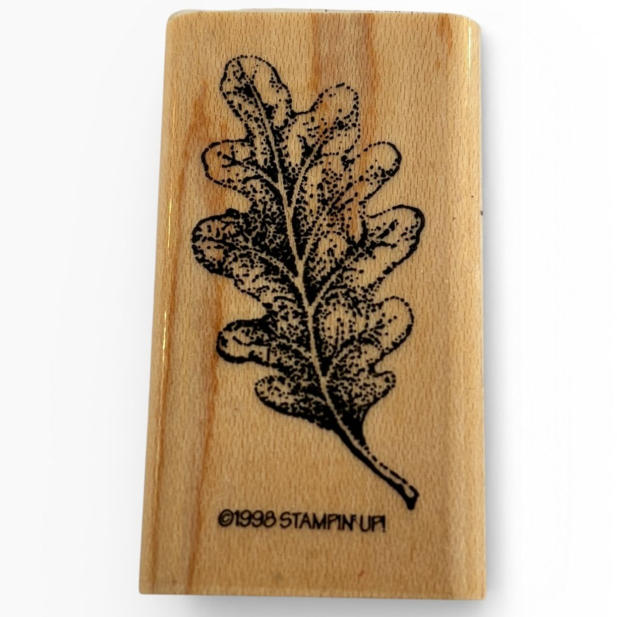 Stampin Up Rubber Stamp Oak Leaf Fall Season Nature Outdoors Craft Card Making