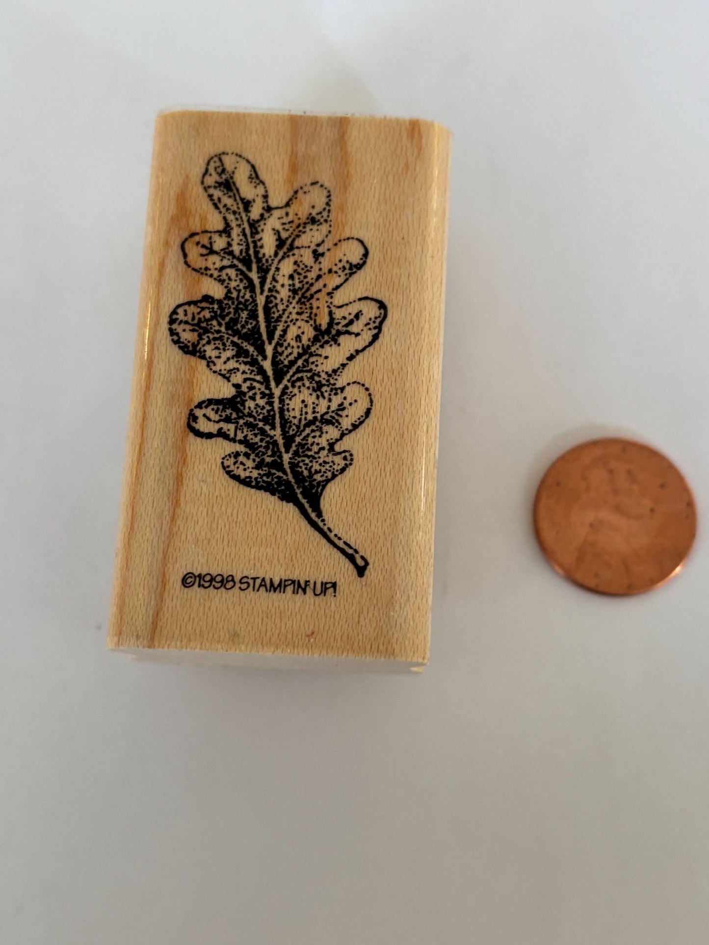 Stampin Up Rubber Stamp Oak Leaf Fall Season Nature Outdoors Craft Card Making