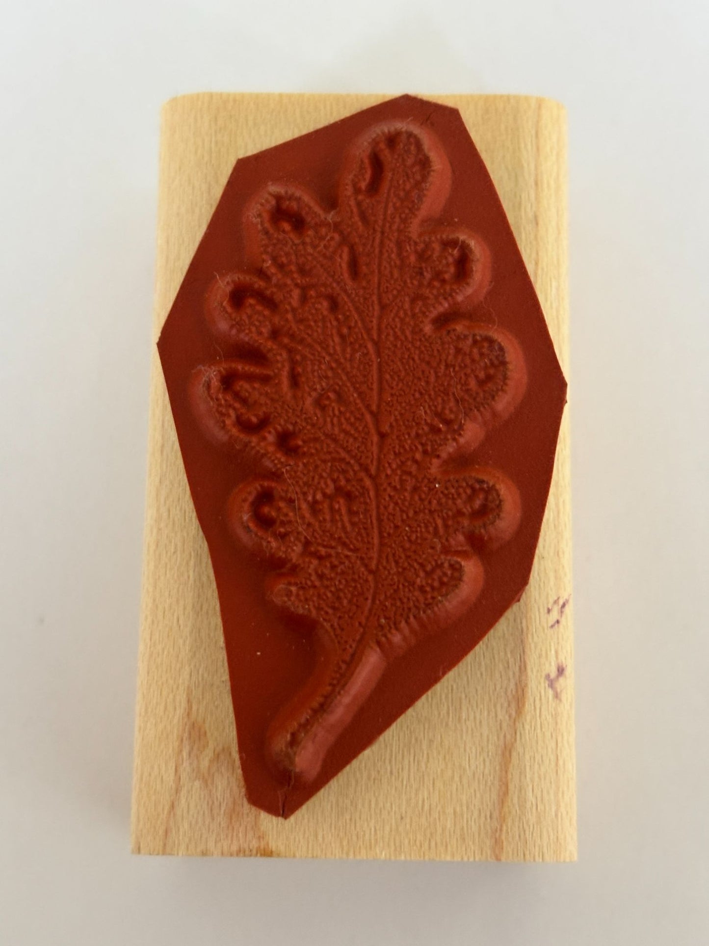 Stampin Up Rubber Stamp Oak Leaf Fall Season Nature Outdoors Craft Card Making