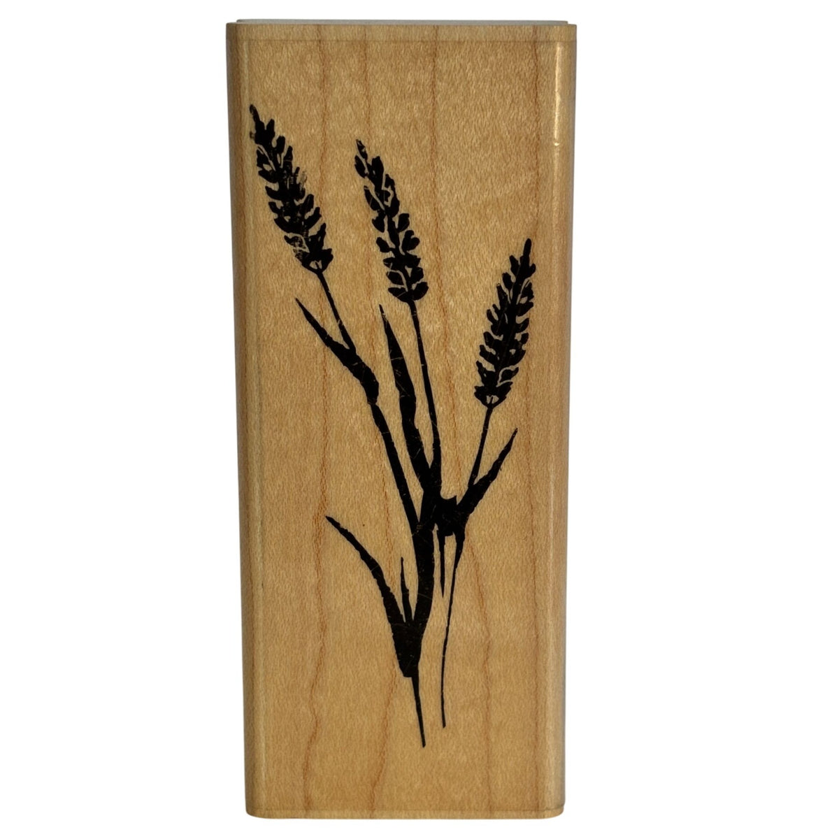 Stampabilities Rubber Stamp Waving Wheat Botanical Grain Farmhouse Prairie Nature Card Making Wood Mounted