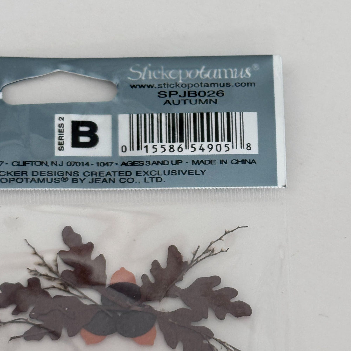 Jolees Boutique Autumn Sticker Collage Fall Wreath Scrapbooking Embellishments Cardmaking Thanksgiving Acorns
