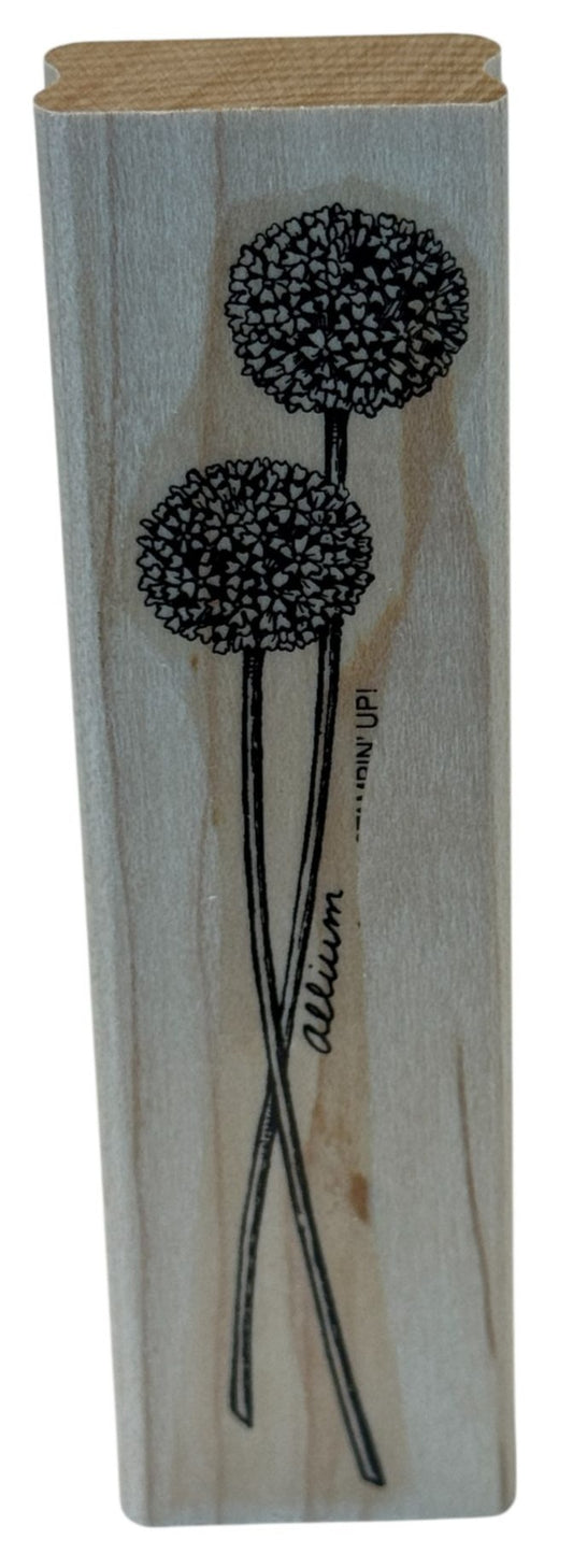 Stampin Up Rubber Stamp Allium Long Stemmed Flowers Floral Card Making Craft