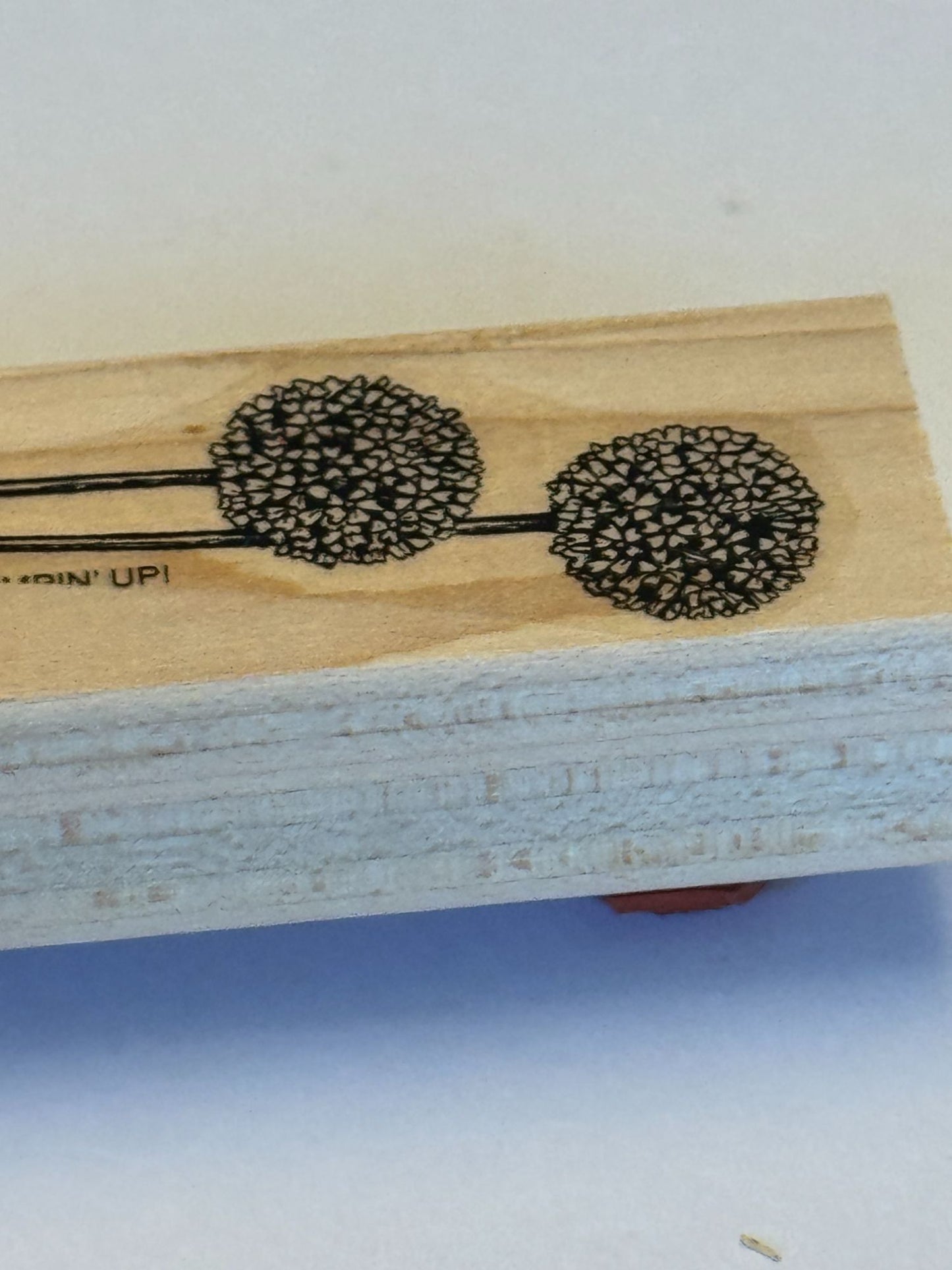 Stampin Up Rubber Stamp Allium Long Stemmed Flowers Floral Card Making Craft