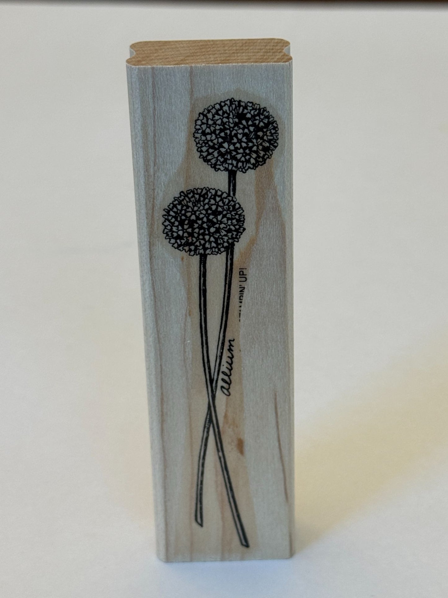 Stampin Up Rubber Stamp Allium Long Stemmed Flowers Floral Card Making Craft