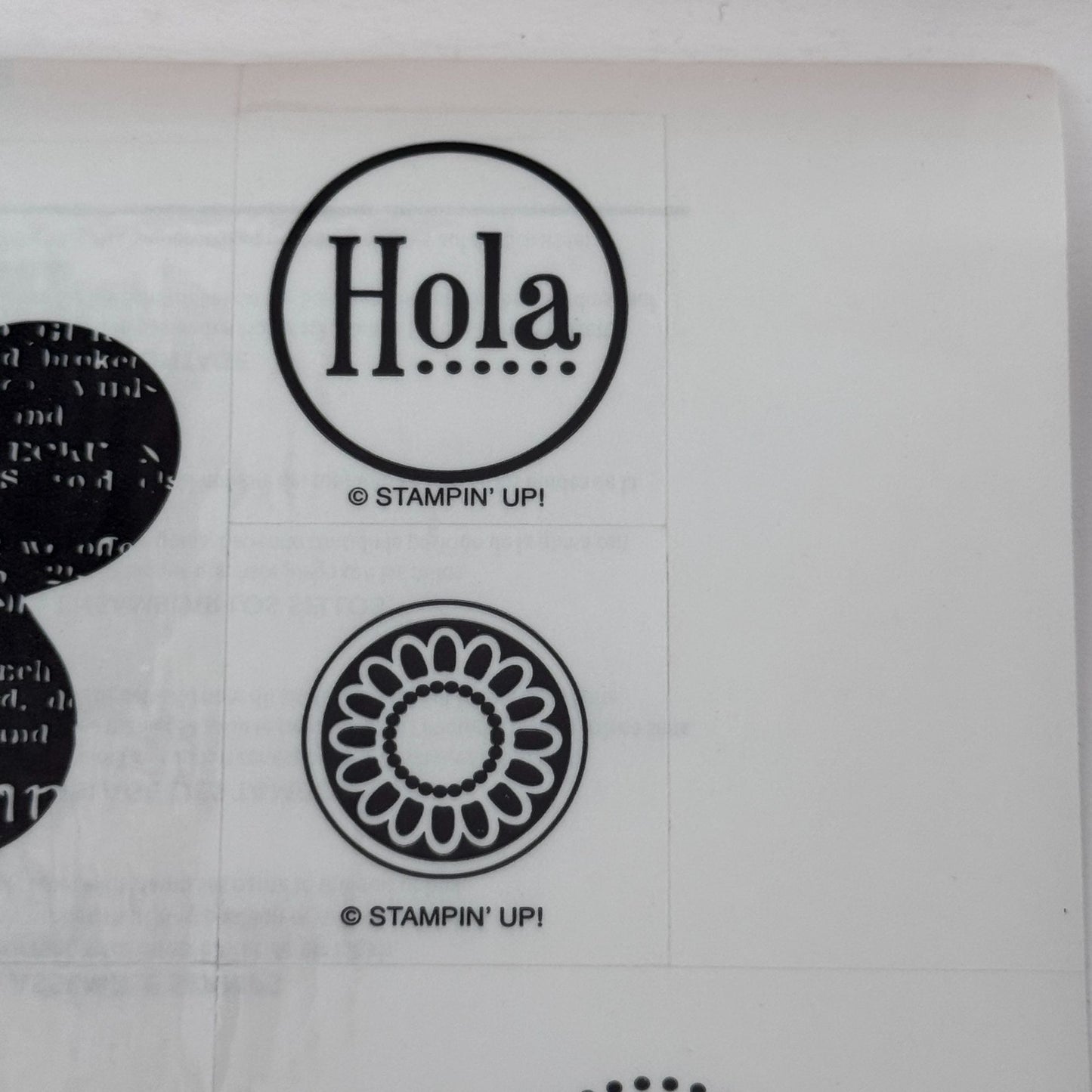 Stampin Up Rubber Stamp Set Flores Perforables Flowers Spring Garden Hola Spanish Word Hello
