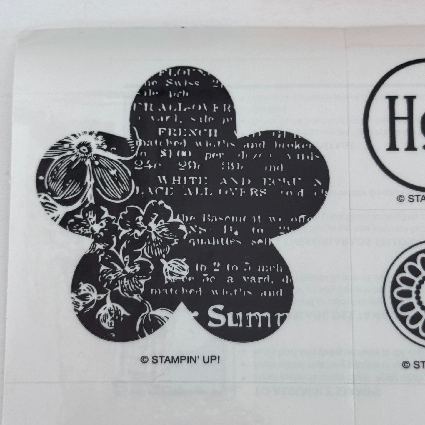 Stampin Up Rubber Stamp Set Flores Perforables Flowers Spring Garden Hola Spanish Word Hello