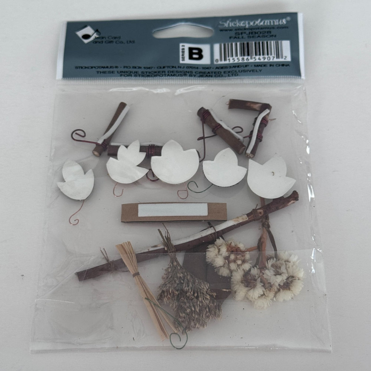 Jolees Boutique Stickers Fall Season Twigs Natural Scrapbook Embellishments Rustic Autumn Junk Journaling