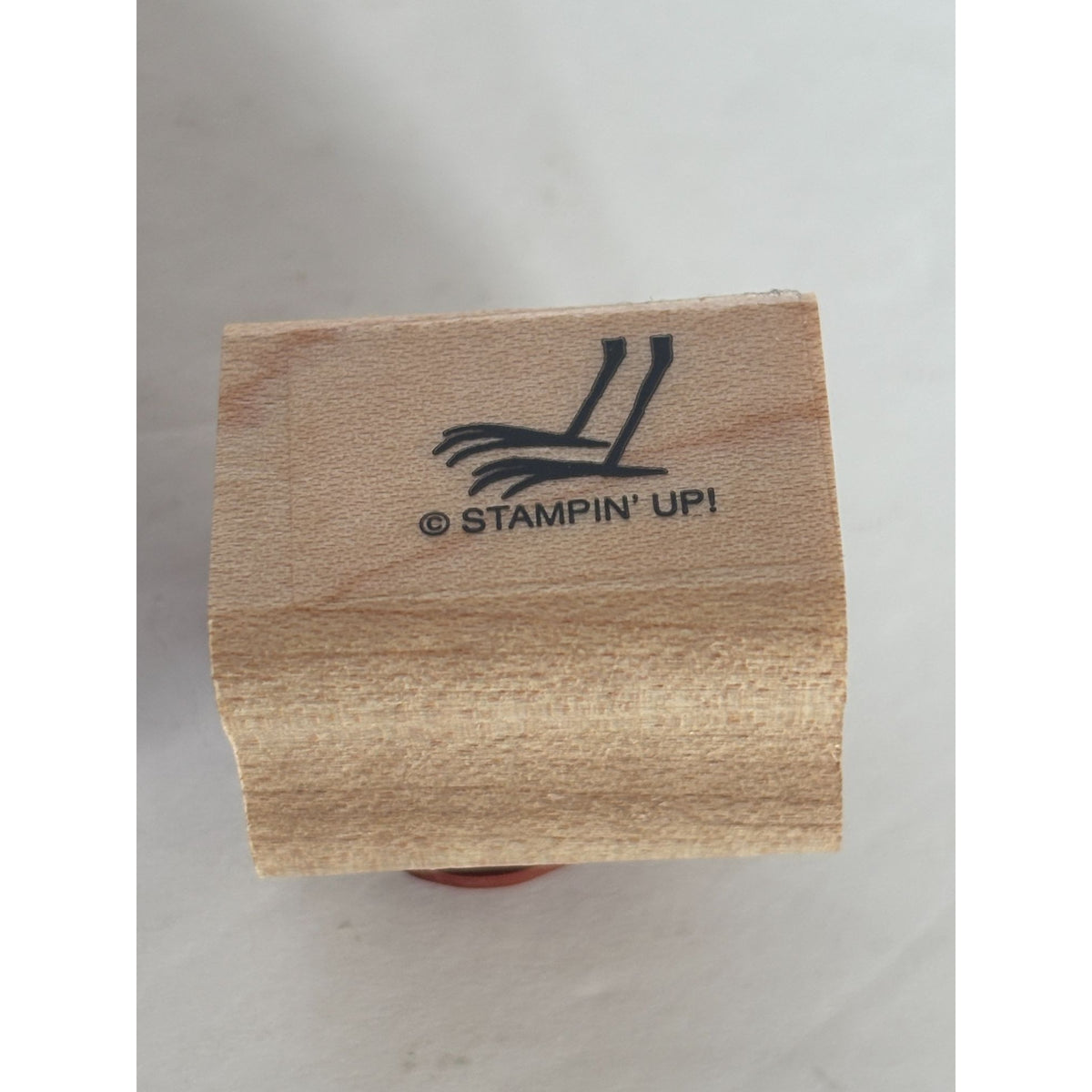 Stampin Up Rubber Stamp Set Birds Language Of Friendship Quotation Card Making