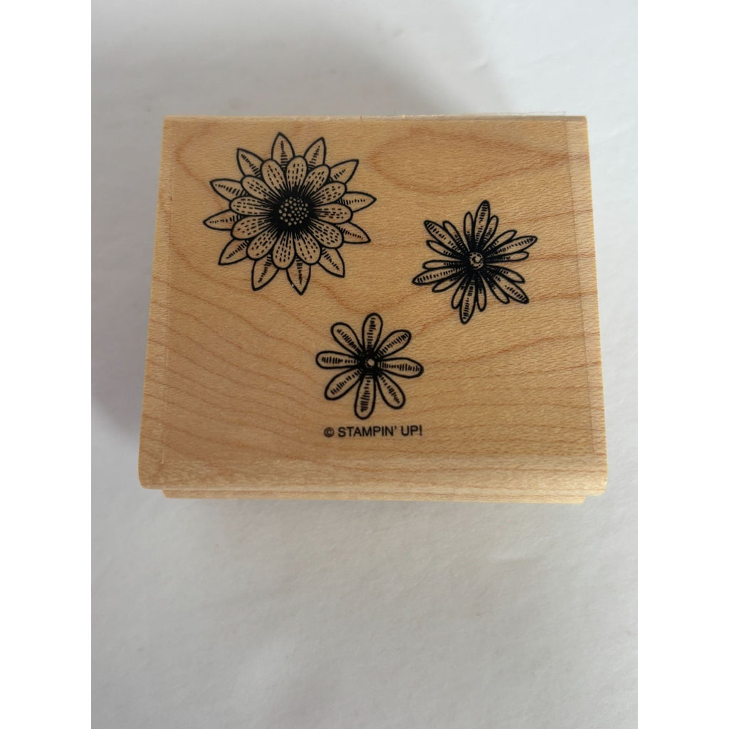 Stampin Up Rubber Stamp Set Birds Language Of Friendship Quotation Card Making