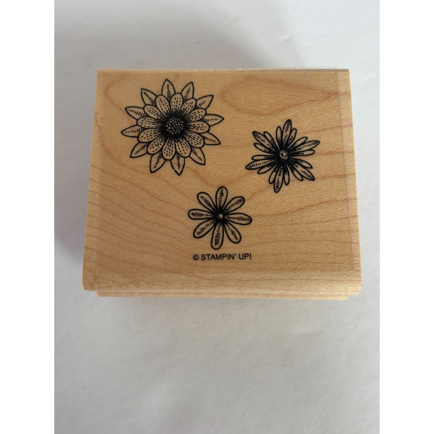 Stampin Up Rubber Stamp Set Birds Language Of Friendship Quotation Card Making